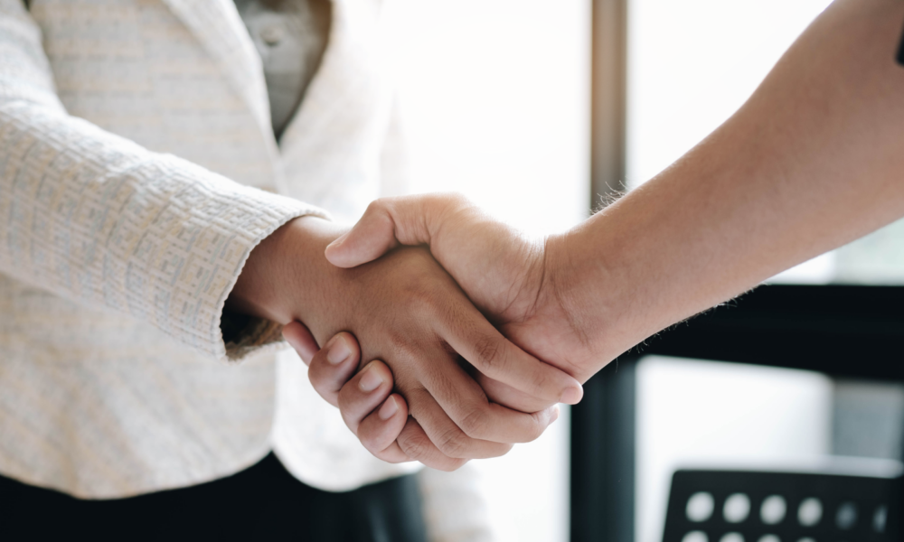 Professionals Shaking Hands